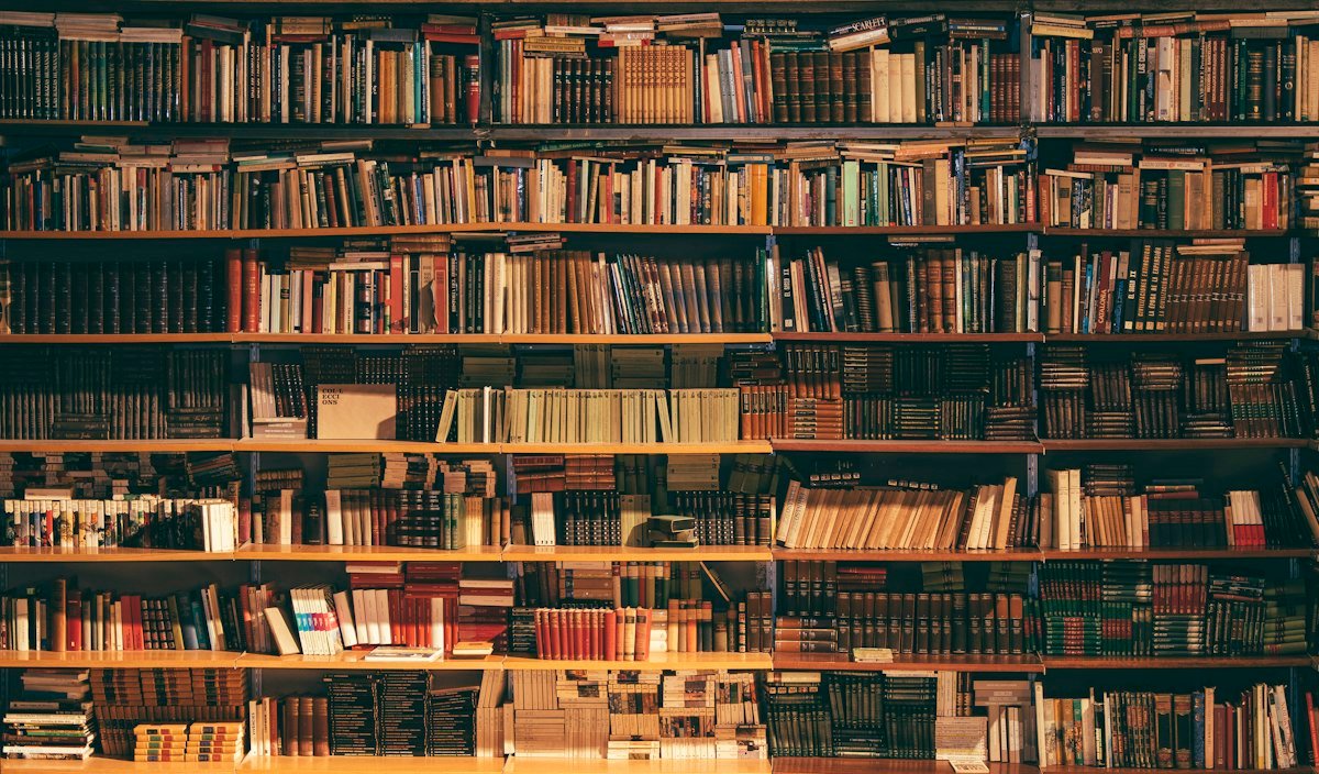 Ascot Display Bookshelf